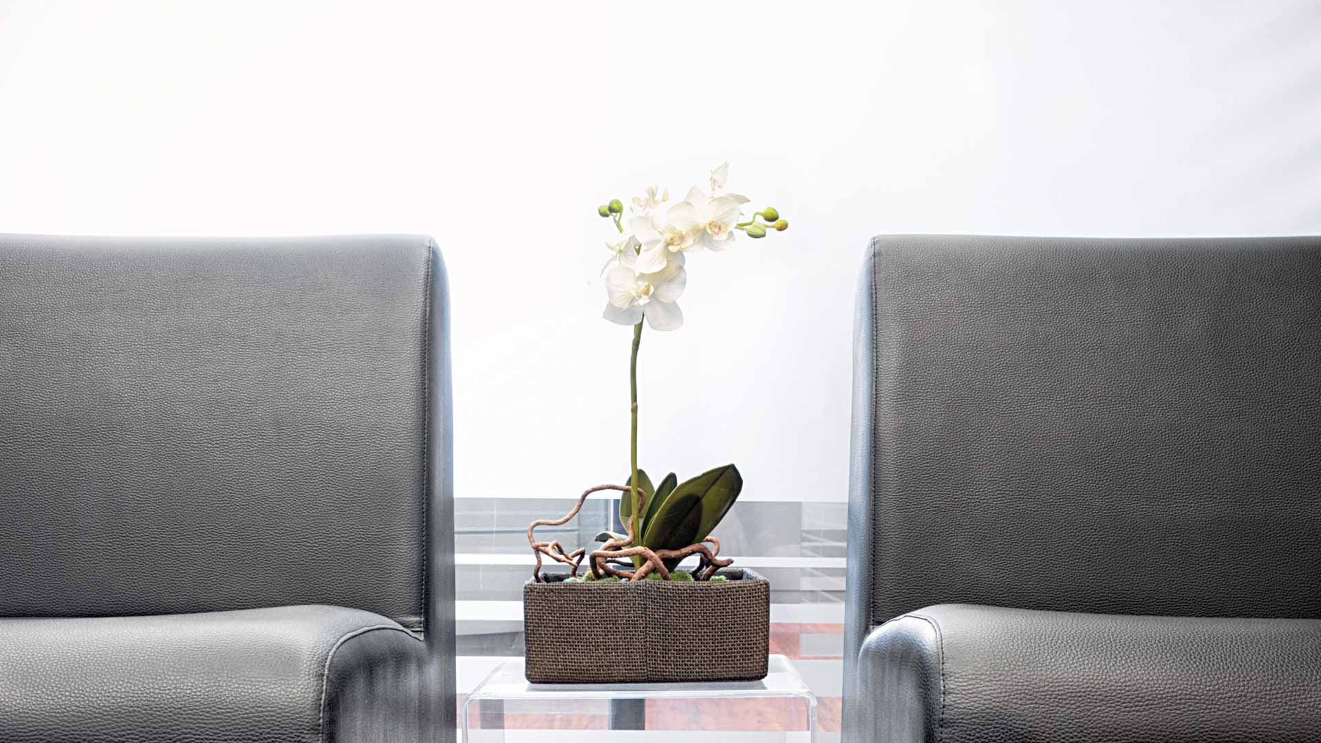 A white orchid on a glass table in between two chairs in the waiting room at Clinica Cloe in Madrid